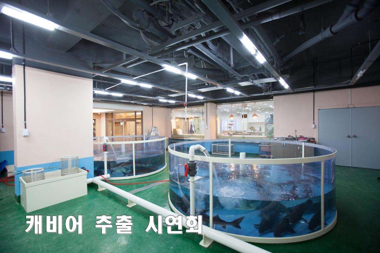 Cheongpyeong Family Hotel Капхён Экстерьер фото
